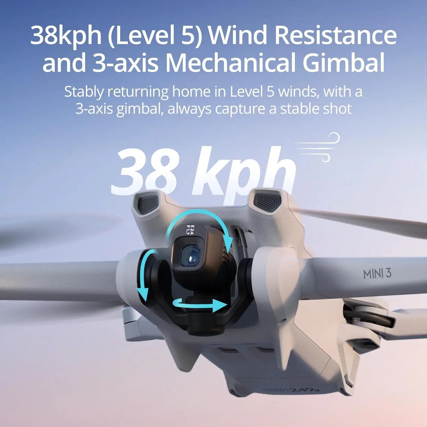 DJI Mini 3 (RC 2)